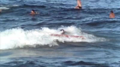 They call their bathing suits down there costumes - The Endless Summer
