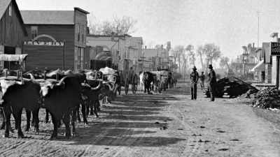 They came back
in the spring - The American Buffalo