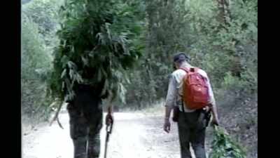 They came into people's houses, - Murder Mountain