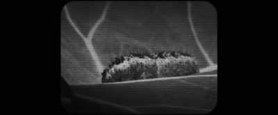 They can also release
chemicals that control - Memory: The Origins of Alien