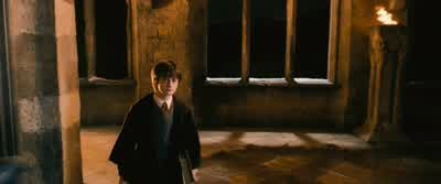 They can carry immensely heavy loads. - Harry Potter and the Chamber of Secrets
