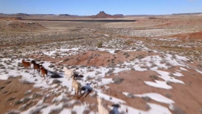They can change
into any animal out there - Beyond Skinwalker Ranch