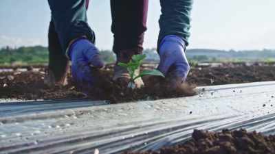 They can create more plants,
which could then create - Plastic Earth