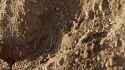 They can only move the smaller
particles that are here. - Secrets of the Underground