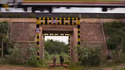 They can only reach the other side
via specially-built underpasses. - Our Great National Parks