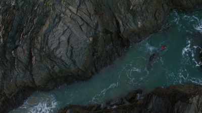 They can only reach the shellfish - Europe From Above