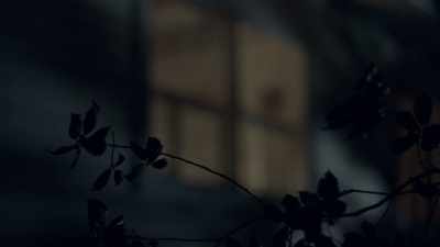 THEY CAN SEE HIM
IN THE FRONT-ROOM WINDOW. - The Golden State Killer: It's Not Over