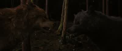 They can't hurt her. - The Twilight Saga: Breaking Dawn - Part 1