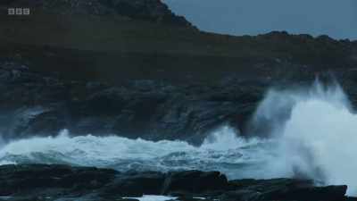They captured new behaviours, - Wild Isles
