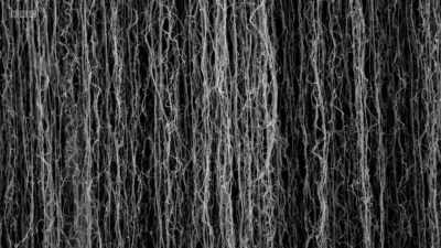 They were carbon nanotubes, - Secrets of Size: Atoms to Supergalaxies