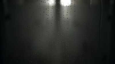 They carried her into the shower - What Happened, Brittany Murphy?