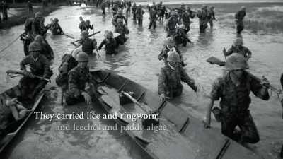 
They carried lice and ringworm - The Vietnam War