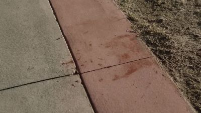 They cleaned it up. - Harrow