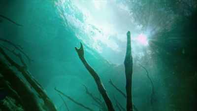 They collect so much
naturally filtered groundwater - The UnBelievable with Dan Aykroyd