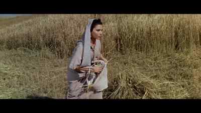 They come fair in Moab. - The Story of Ruth