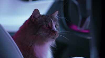 They communicated electronically, sending
text messages about a covert mission. - Cats & Dogs 3: Paws Unite