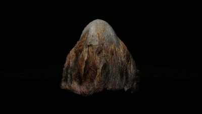 They conclude
the scalp is likely fake, - Tales From The Explorers Club