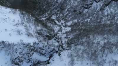 They continue to course
through the veins of Scandinavia. - Wild Nordic