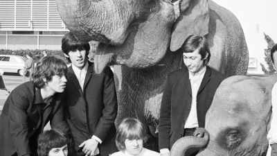 They were costarring
with two elephants, - Days of Rage: The Rolling Stones' Road to Altamont