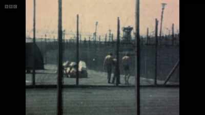 They could be in their own cages,
have their own command structure, - Once Upon a Time in Northern Ireland