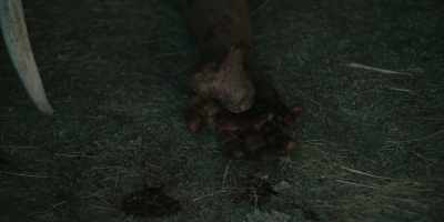They cut the
poor bastard's balls off. - Butcher's Crossing