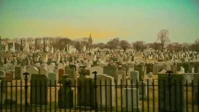They designed computer
systems for cemeteries. - Have You Seen This Man?