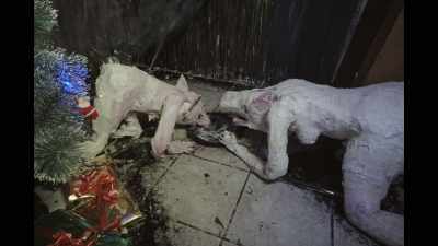 They didn't talk or look smarter than pigs. - The Wolf House