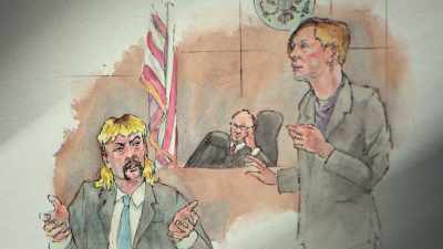 They didn't think they could get the murder-for-hire charges to stick, - Tiger King