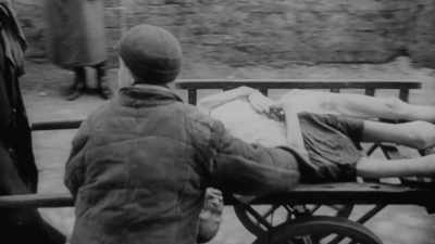 They died on their own - Exterminate All the Brutes