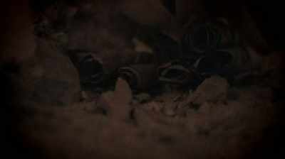 They had disintegrated - Dead Sea Scrolls: The Doomsday Prophecy