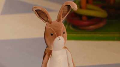 They do it to stop the illness
spreading to others. - The Velveteen Rabbit