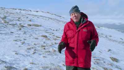 They do so for a simple reason - - Attenborough's Life in Colour