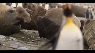 They don't care
who gets caught in the crossfire. - Our Oceans