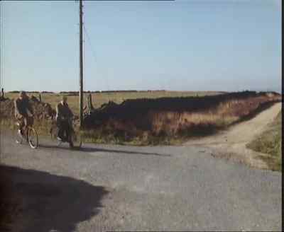 They don't chew EACH OTHER'S boots,
do they? - Last of the Summer Wine
