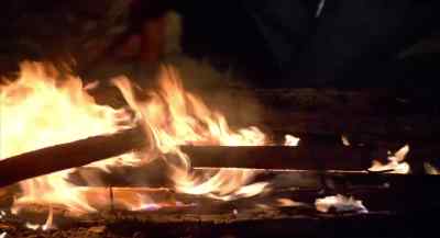 They don't like fire. That's for sure. - Empire of the Ants