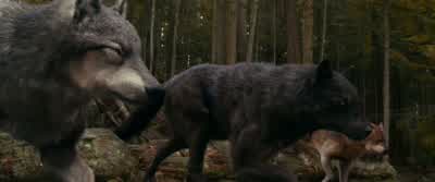 They don't trust us enough to be in their human forms. - The Twilight Saga: Eclipse
