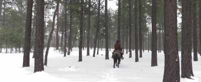 They were easy to follow - Run for the High Country