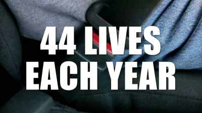 They estimated it would save
at least 44 lives each year. - This Giant Beast That is the Global Economy
