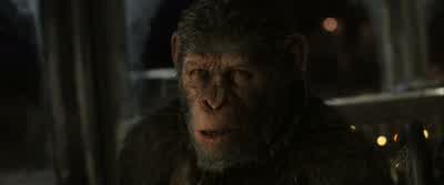 They fear me - War for the Planet of the Apes