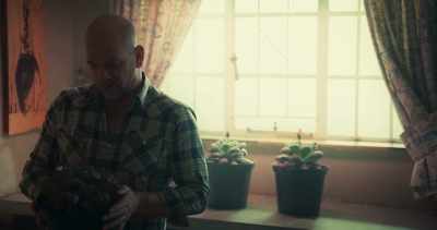 They flower only every 12 years. - Dead Places