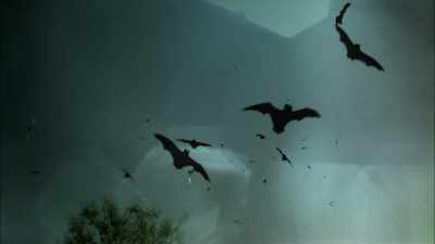 They fly down to the ground
and they fly into the barn, - The UnBelievable with Dan Aykroyd