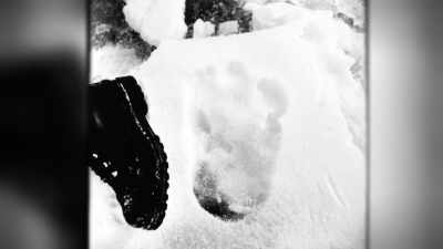 They follow the trail
for a mile, - Tales From The Explorers Club