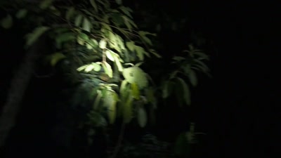 They force him out of the boot - Killers: Caught on Camera