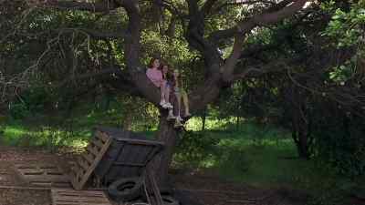 They found a new home. - The Baby Sitters Club