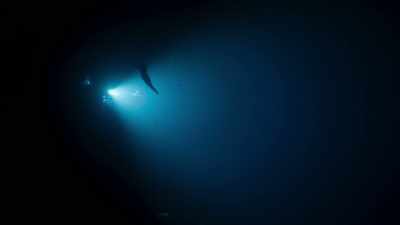 They found a shoal of lanternfish - Blue Planet II