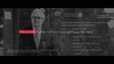 They found evidence to those points
to be, quote, "Overwhelming". - Envoy: Shark Cull