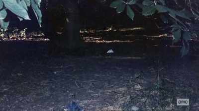 They were found far away
from where the body was found - The Preppy Murder: Death in Central Park