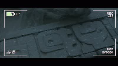 "They gave their lives so the hunt could begin." - Alien vs  Predator