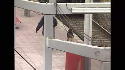 They were given instructions
to bag and catalogue the evidence found - 11M: Terror in Madrid