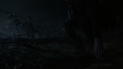 They go underground. - Teen Wolf